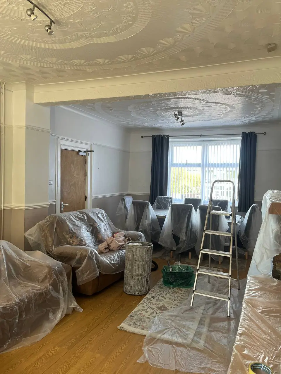 A Swansea living room prepared for decorating: sofas and furniture sheeted, floors covered and the ornate ceiling ready for painting.